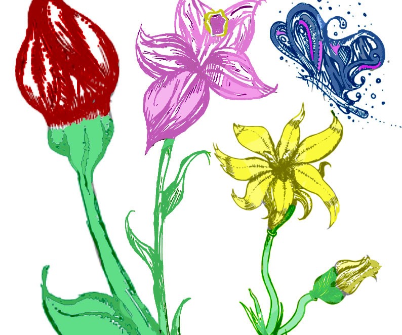 Greater Cincinnati Ostomy Association